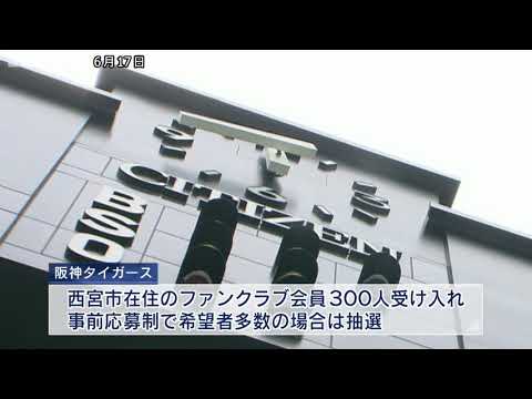 甲子園球場での2軍戦 阪神タイガースが試験的に観客300人受け入れ