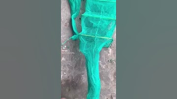 Lưới Lồng Bát Quái Đánh Bắt Cá - Lồng Bát Quái Chã Cước Chuyên Bắt Thủy Sản ZALO 0971669963