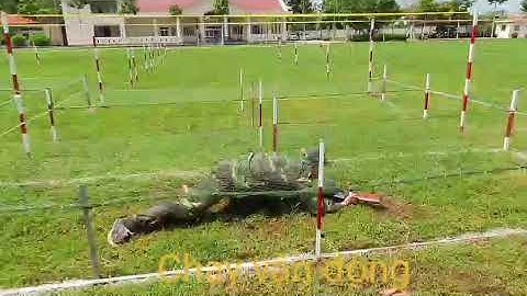 CÁC TƯ THẾ VẬN ĐỘNG CÁ NHÂN