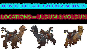 How to Get All 3 Alpaca Mounts in Wow  (Springfur Alpaca, Mollie and Elusive Quickhoof)