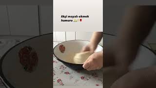 Ekşi Mayalı Ekmek Hamuru. Şimaya Şimayalıekmek