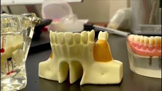 Take a Tour of Aghbashian Dental Corp Glendale CA Dentist