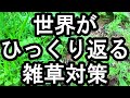 もう除草剤も重曹も熱湯もビニールマルチも要らない０円でできる簡単雑草対策