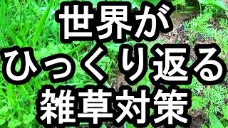 もう除草剤も重曹も熱湯もビニールマルチも要らない０円でできる簡単雑草対策