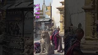 Hình ảnh THẦY MINH TUỆ #conduonggiacngo #thayminhtue #thinhhanh #foryou #love #phatthichca #nhacchay