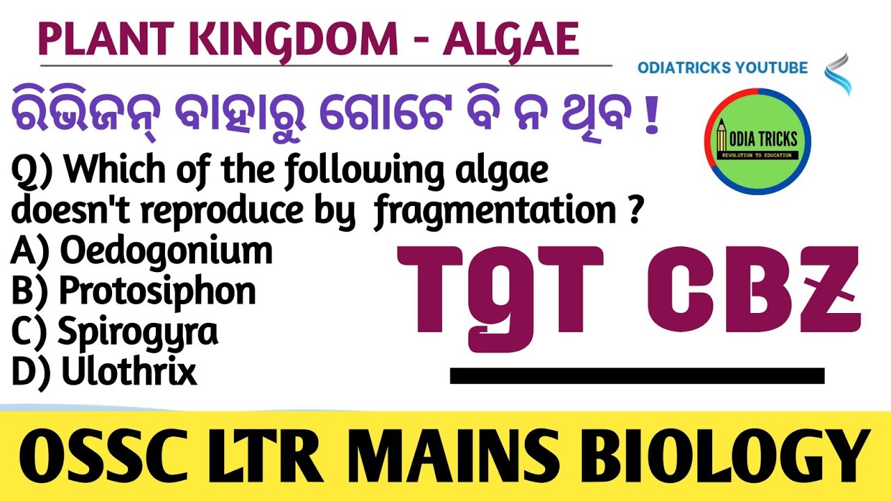 Algae Quick Revision || Plant Diversity & Conservation || OSSS LTR  MAINS BIOLOGY