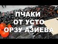 Обзор ножей пчаков от мастера Орзу Азиева