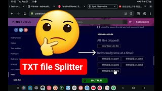TXT File Splitter Using PineTools Website | Quick Step-by-Step Guide screenshot 2
