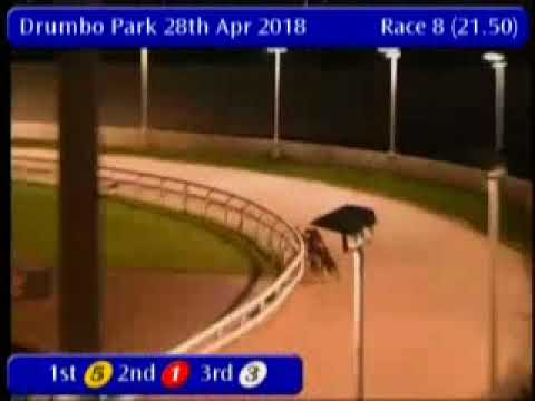 IGB - greyhound-data.com  28/04/2018 Race 8 - Drumbo Park