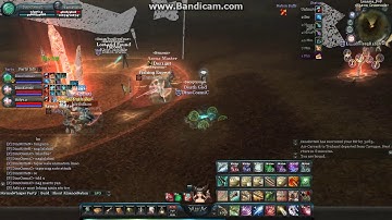 Pally Macro Hacking No Animation Part 2