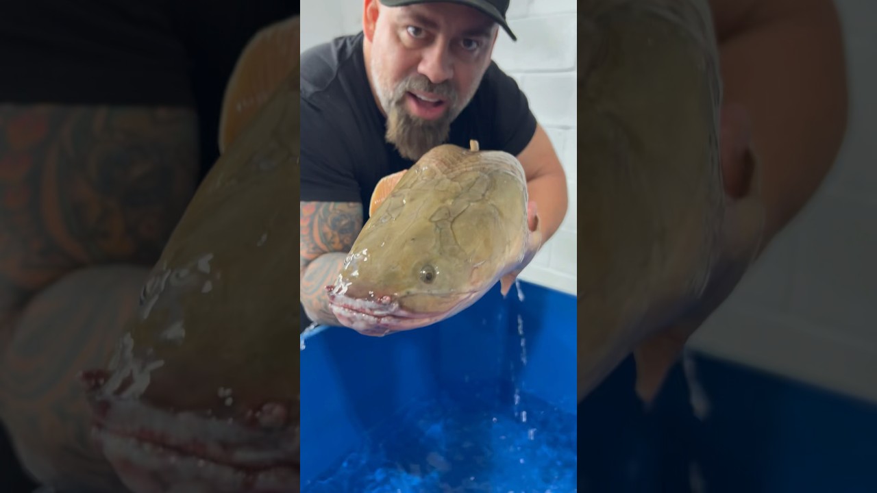 Monster Aquatic Dragon Fish 