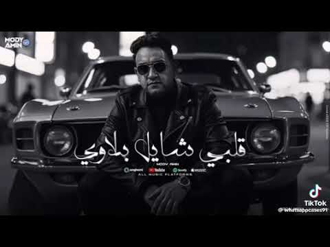 قلبي شايل بلاوي مودي امين