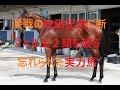 安田記念 2025 マイル王２頭を破る忘れられた実力馬