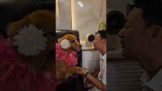 Wooly sudah syantik belum