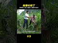 男人死皮賴臉猛追不舍,前妻被感動!復合有望?!