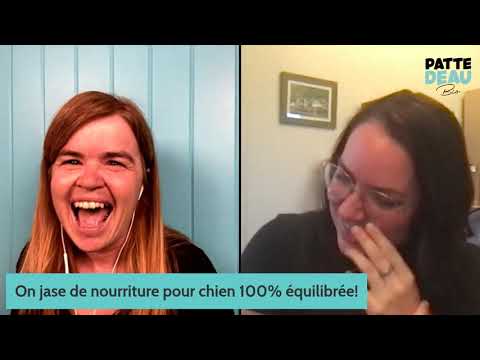 Vidéo: Top 10 Des Excuses Que Les Propriétaires Donnent Pour L'obésité Chez Les Animaux De Compagnie