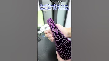 3D Prints, Dual Color Blue/Red Vase