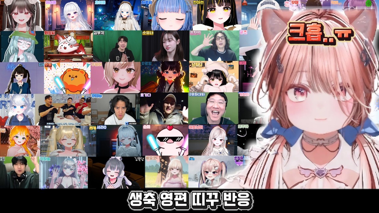 생일 축하 영상편지 띠꾸반응