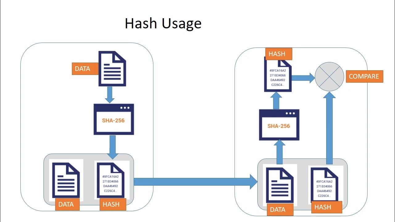 Why hash and Hashing function required Overview of Hash Network ...