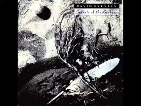 David Sylvian - Orpheus