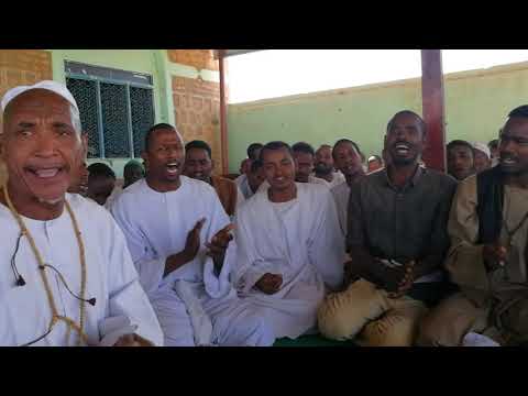 حسن يا ود حسونه أولاد شيخ سعد زيارة البادراب ٢٠١٩