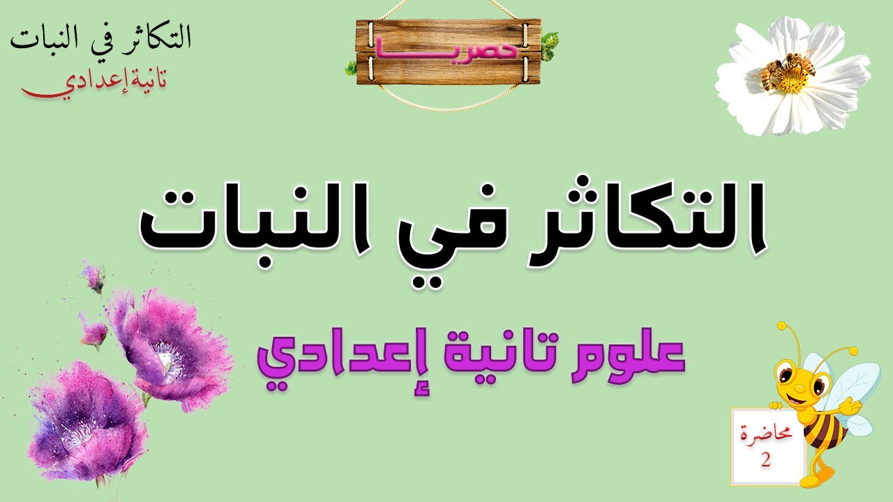 التكاثر في النبات تانية إعدادي 2025 | محاضرة 2✍️