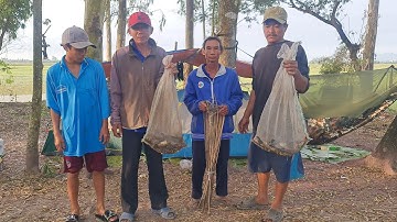 Bất Ngờ Ngày Về Dính 20 Con Cá Trê Kết Thúc Chiến Trải Nghiệm 24h.Góc Làng Quê #650