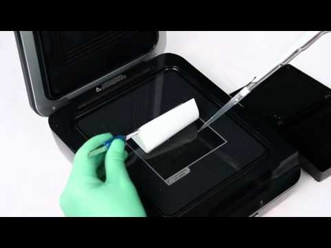 LiCor   How to Place a Blot on the C DiGit Blot Scanner