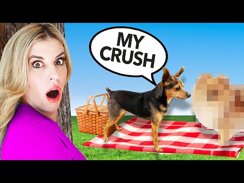 Spying on Our Dog To Reveal Secret Crush - PawZam Dogs