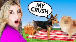 Spying on Our Dog To Reveal Secret Crush - PawZam Dogs