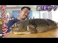 干物職人が絶賛する！フグの干物の美味しい食べ方！※辛いものが苦手な方はご注意ください‼︎