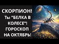 🦂СКОРПИОН, ШОК🤯 ОКТЯБРЬ: Ваша РАБОТА – это &quot;бег в колесе&quot;! УЗНАЙТЕ, как ВЫПРЫГНУТЬ и ЗАБРАТЬ ДЕНЬГИ!