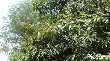 My first vlog || Please कोई हमे भी Support करो 😌 || My life first vlog