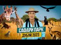 Дубай САФАРИ ПАРК | ОТДЫХ С СЕМЬЕЙ ЦЕНЫ и стоит ли ехать ? ОАЭ