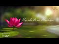SỰ CHO ĐI CỦA HOA (Unconditional Love Of Flowers)- Nhạc Thiền & Chữa Lành NOVADA | Minh Tịnh