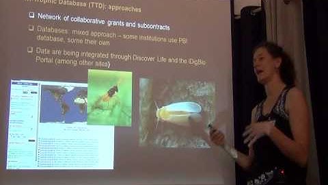 BITC / Data Capture - AEC - 3