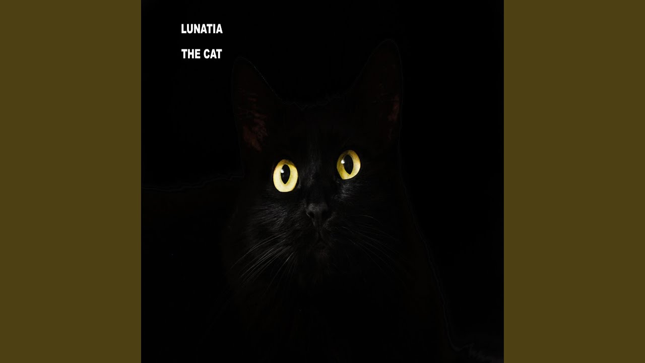 Watch The Cat on YouTube Watch The Cat on YouTube