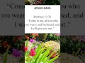 Rest #bibleverse #verseoftheday ##christian #dailybibleverse