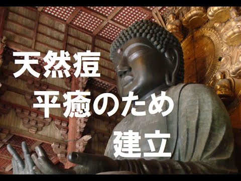 【私有正史】天然痘イベント攻略！奈良の大仏建立で国力を安定させる戦略