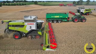 2 X Claas Lexion 8900 mit 1380 Convio / Fendt 1050 Vario / Hawe 4000 Überladewagen / Weizenernte