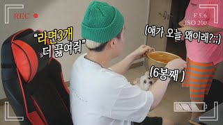 mom hidden camera│On days when there is no filming, I ask my mom to keep making ramen noodles.
