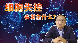 为什么癌细胞扩散的如此恐怖！原因是体内有帮凶帮它建造高速公路 丨 带你了解令人惊叹的细胞【宇宙自然生命简史】