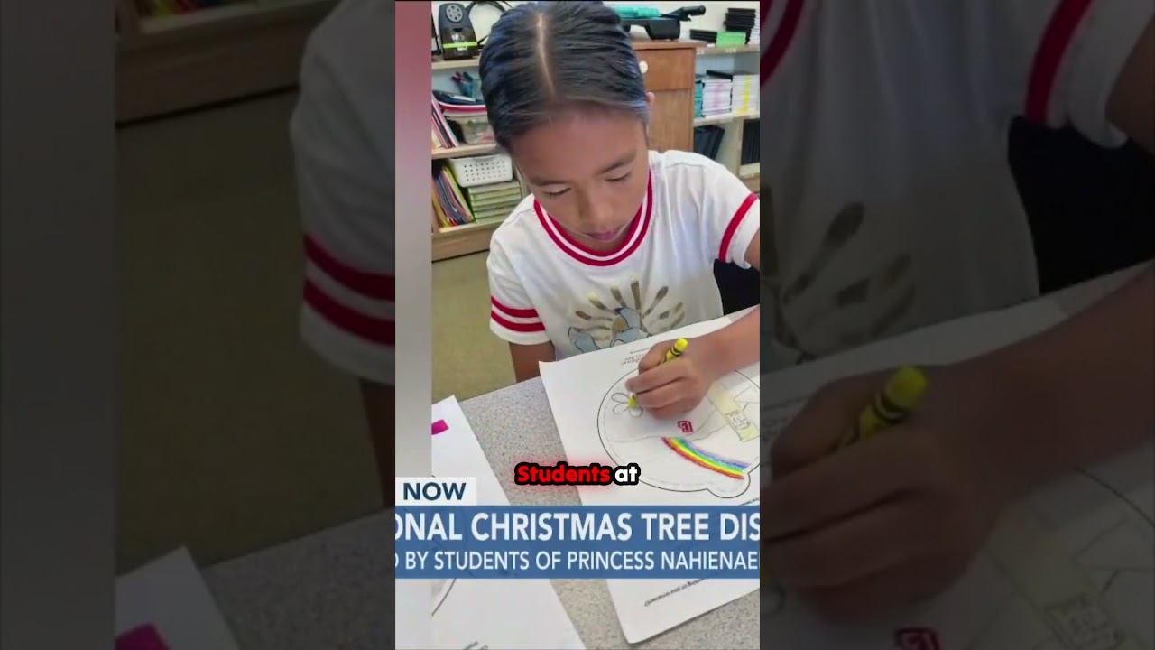 A Piece of Maui's Heart is Lighting Up the National Christmas Tree! 🎄✨