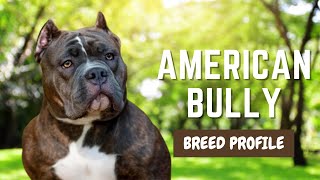 American Bulldogs 101: Everything You Need to Know About the Loyal and Muscular Family Pet! by Pet Insider 43 views 1 year ago 4 minutes, 51 seconds
