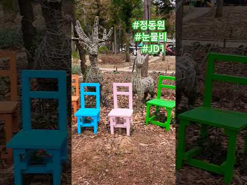 동원군의 또하나의 명곡 눈물비 손털같은 아기때 모습이 그리워질때가 한번씩 있네요 정동원 Jd1 눈물비 트롯조앙