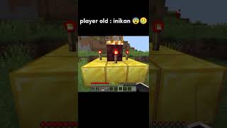 Inikan  please subscribe my channel minecraft gaming old