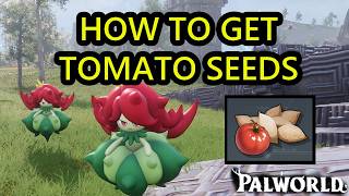 Palworld How to Get Tomato Seeds. Tomato Seeds Location and Where to Get Tomato Seeds Palworld 1.0