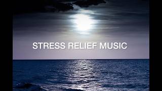 1 HOUR STUDY WITH ME | Hyper Efficient, Doctor, Focus Music, Pomodoro