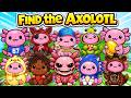 How To Get New 10 Axolotl in Find the Axolotl [99] | Roblox