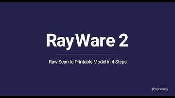 RayWare 2: Raw Scan to Printable Model in 4 Steps
